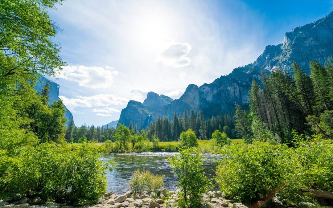 NatureMetrics